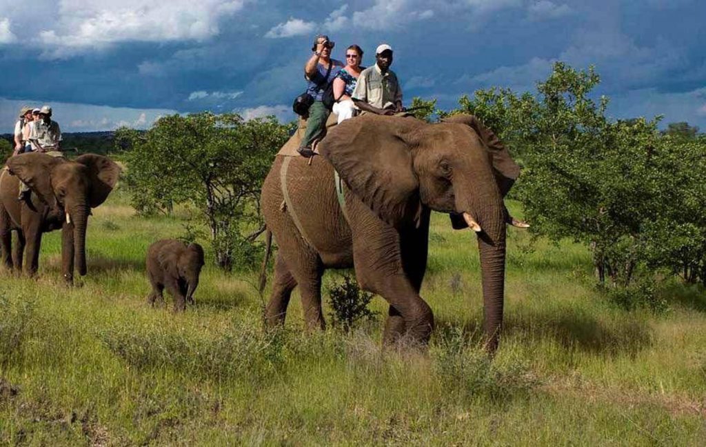 Jim Corbett National Park