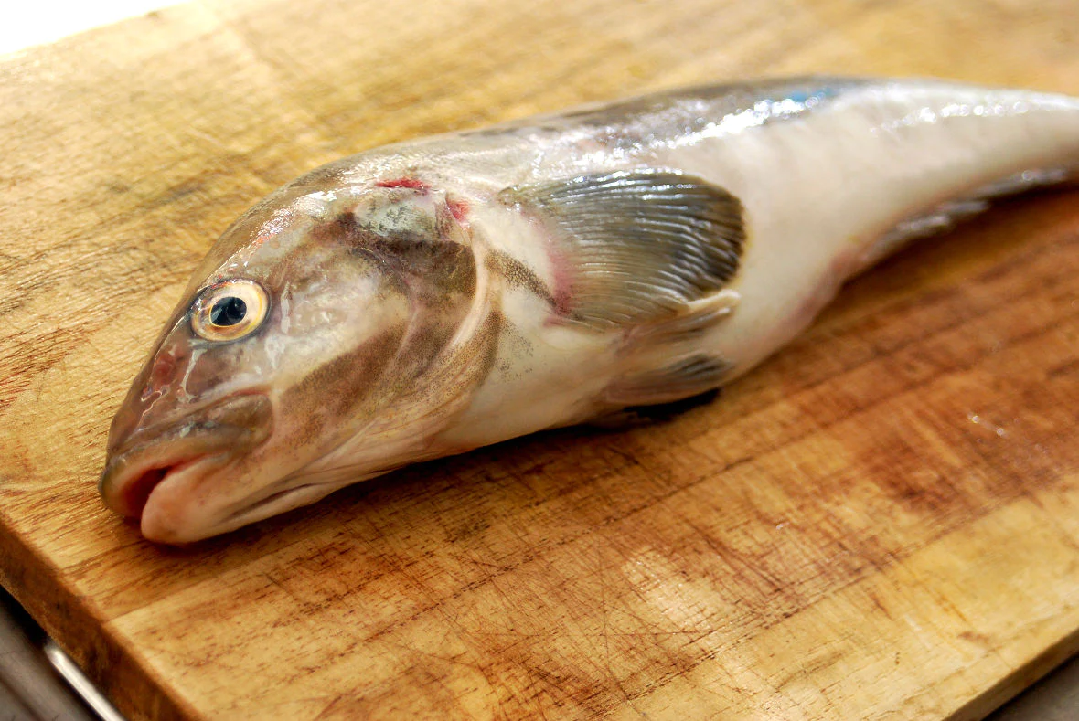 Prepare the Dried River Fish