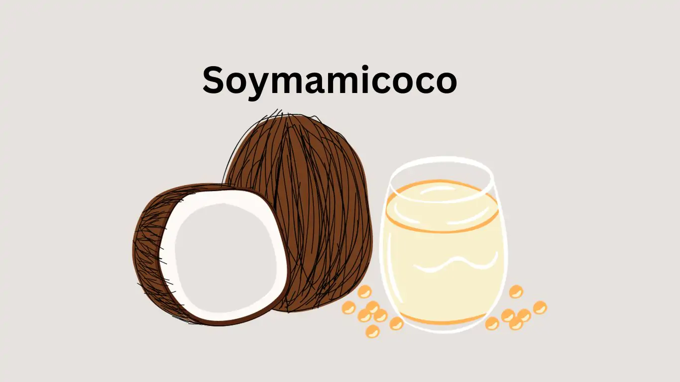 Soymamicoco Smoothie